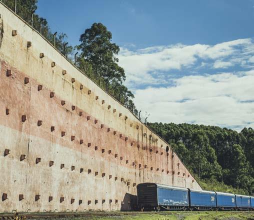 da floresta ao consumidor LOGÍSTICA FLORESTAL O transporte da madeira até as fábricas é feito principalmente por rodovias, em decorrência do modelo logístico do país.