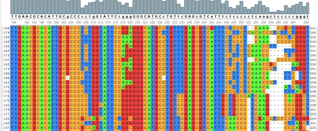 Sequence Alignment method of sequence arranging to identify regions of