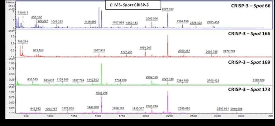 Figura Suplementar 1: Perfil de Espectrometria de Massa (MS) das proteínas tripsinizadas e identificadas: A: HSP-1, B: