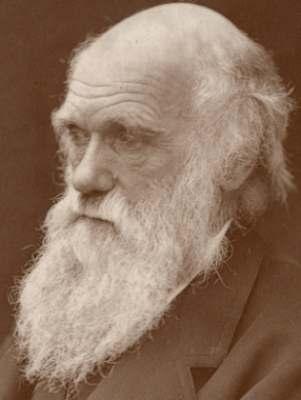 75 3.2 PENSAMENTO EVOLUTIVO A PARTIR DE DARWIN Charles Robert Darwin nasceu em 12 de fevereiro de 1809 em Shrewsbury, Inglaterra.