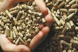 O que é energia biomassa? Do panorama da geração de energia, o termo biomassa abrange os derivados recentes de organismos vivos empregados como combustíveis ou para a sua produção.