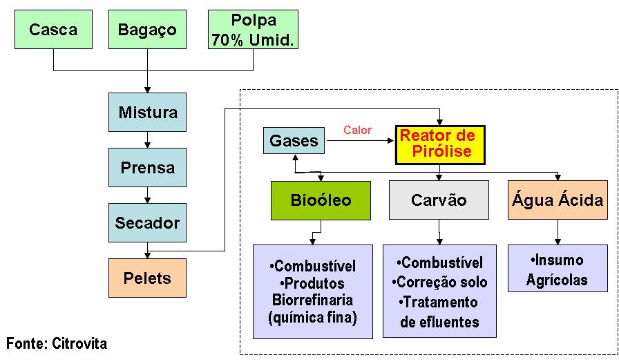 Bagaço de