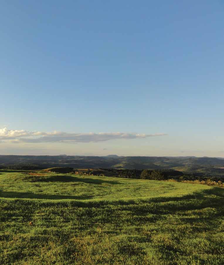 A cultura proto-jê em Santa catarina Projeto internacional escava sítios em quatro municípios