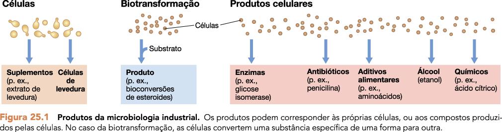 microrganismos para uso industrial produz substância de interesse em altos níveis fácil crescimento em meios líquidos rápido crescimento