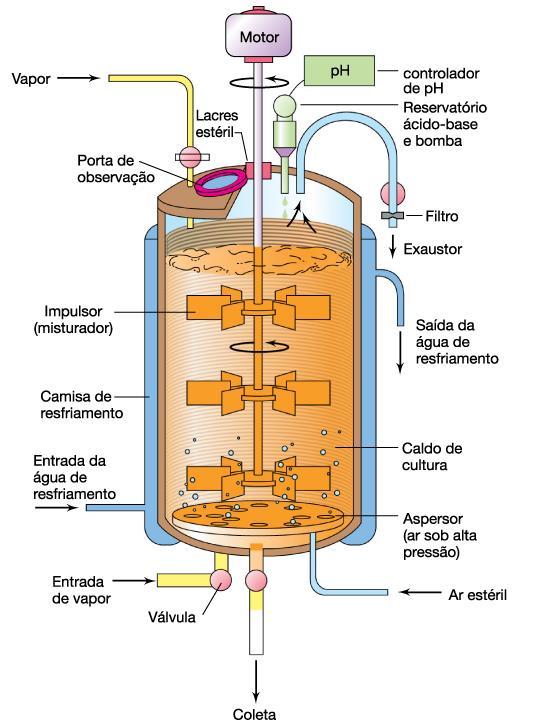Fermentador industrial (ou biorreator) tamanho (L) 1-20.