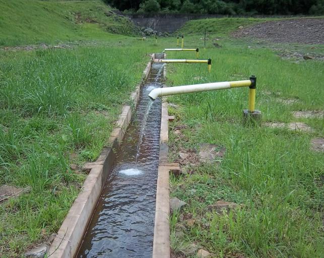 arbustos estão suprimidos, o que indica estar sendo executada a manutenção dessas áreas. Há medidores de vazão, tipo trapezoidais instalados no pé da barragem, nas calhas e em funcionamento.