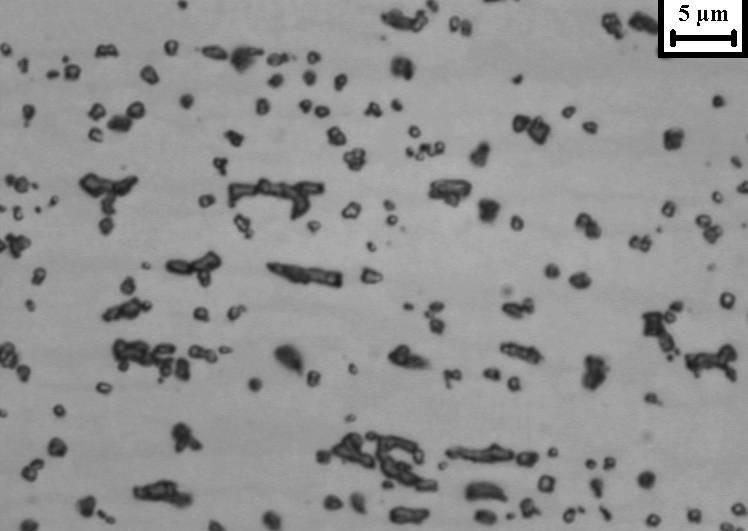 Foi também realizado ataque eletrolítico com solução 10% de hidróxido de potássio para identificação da fase sigma, e os resultados encontram-se nas Micrografias 5.7 a 5.11.