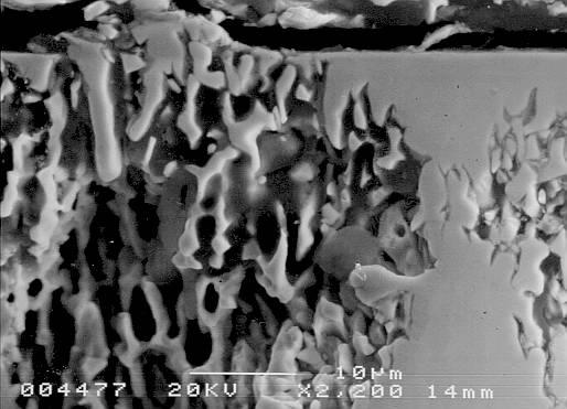 sobre superfície polida, com reversão do sentido de varredura de potencial em 10-1 A/cm². Micrografia 6.18.