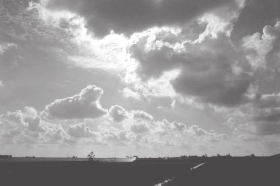 1990. As quatro figuras abaixo representam as nuvens que poderiam ser esperadas para as áreas A, B, C e D na imagem