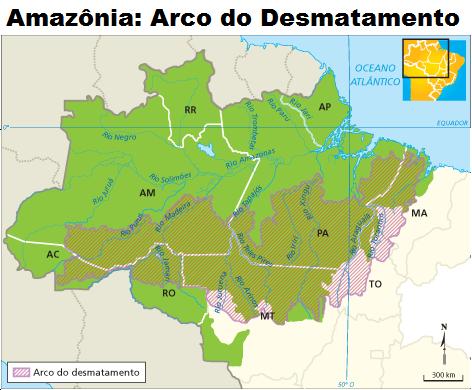 Causas da devastação da Floresta Amazônica