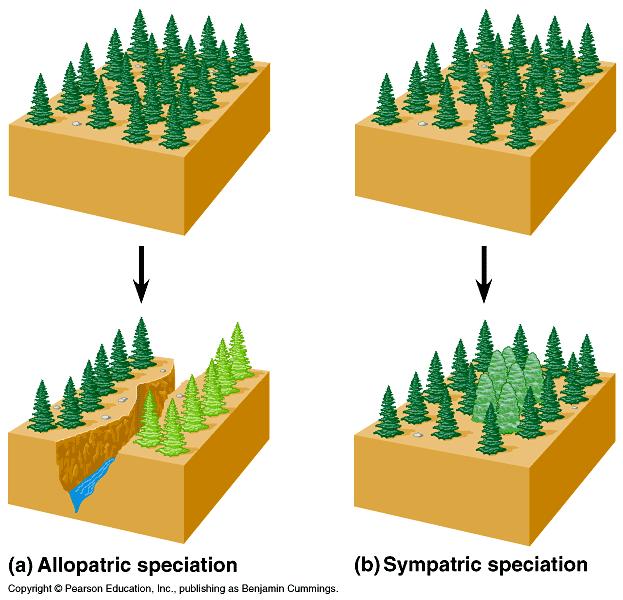 Especiação e geografia Isolamento geográfico que impede a reprodução entre populações alopátricas