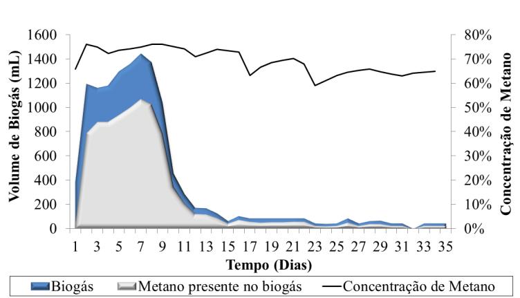 90,29% do biogás total gerado neste tratamento. Observam-se oscilações na concentração de metano à medida que diminui a geração de biogás, principalmente no 18º e 24º dias. Figura 4.