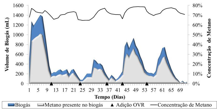 percentual de metano, exceto na quarta adição. A mesma situação ocorreu na amostra com 3% de OVR.