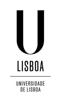 UNIVERSIDADE DE LISBOA Faculdade de Letras Departamento de Linguística Geral e Românica Aquisição de grupos consonânticos e seu impacto nos desempenhos escritos no 1º Ciclo do Ensino Básico Rita