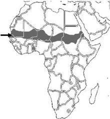 ATIVIDADES ONLINE 8º ANO 1) Durante o período do neocolonialismo, a África foi dividida em fronteiras artificiais de acordo com os interesses europeus.