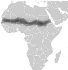 b) Os países africanos em guerra ficam na chamada África do Sul.