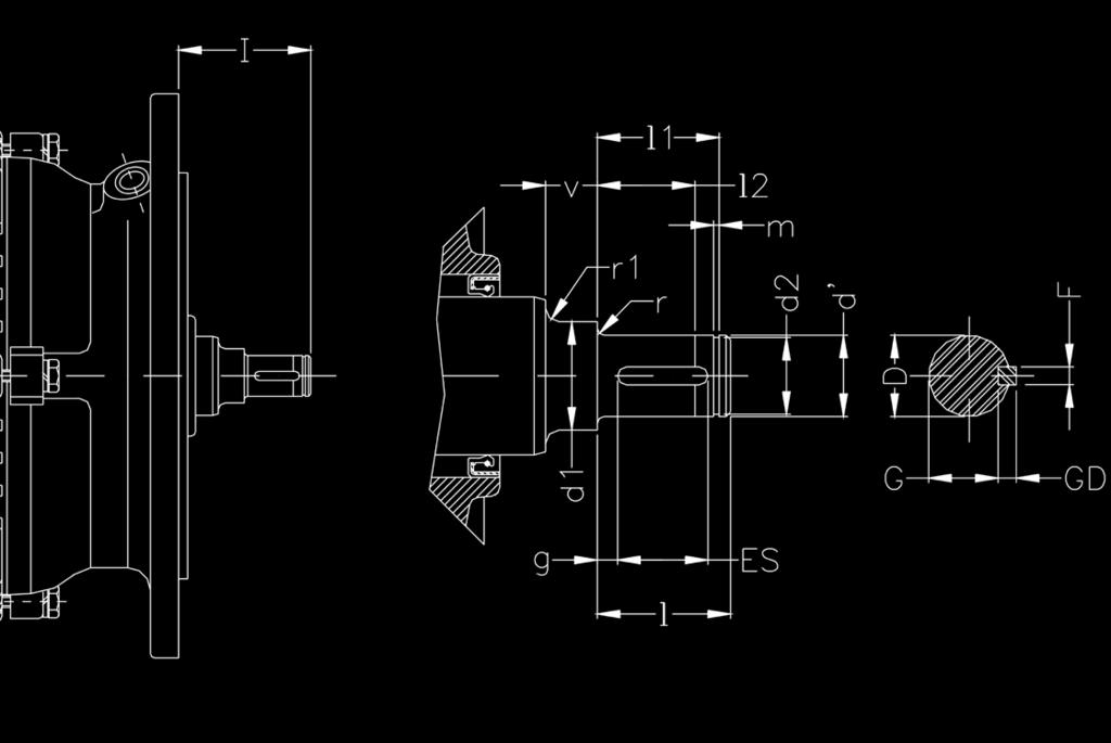 Dimensionais Dimensionais do Eixo I l1 v r1 r l2 m D d2 d F d1 G GD g ES l Flange FR-120 FR-160 FR-200 Carcaça Dimensões do eixo do motor Rolamentos D n6 d' d9 d1 d2 h12 g I l l1+0.