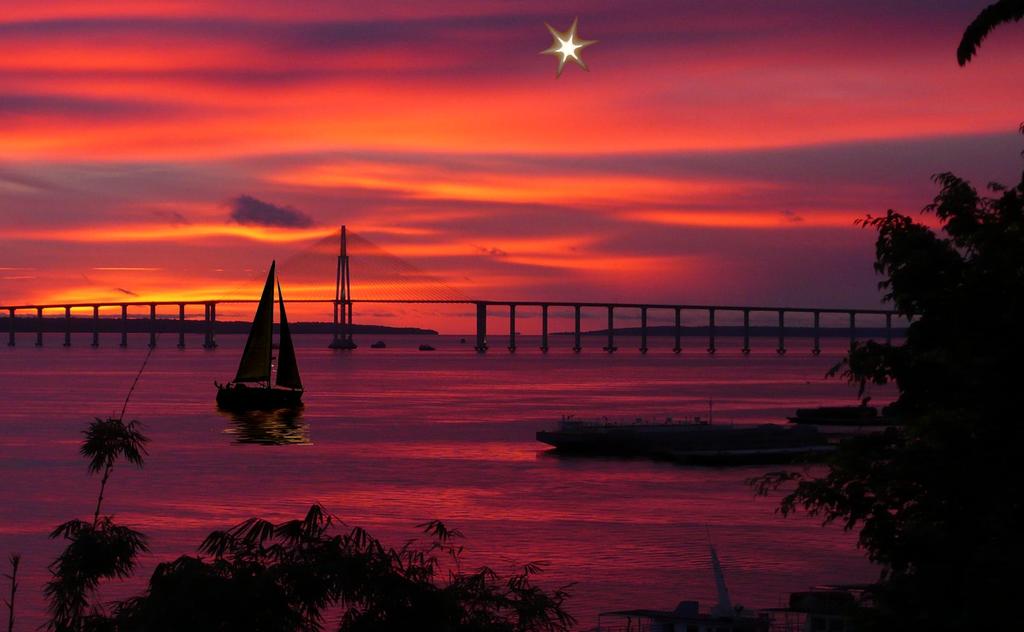 Visão Manaus 218 Estrela guia 3% de Crescimento no Volume 3% de Redução de Custo do Produto 3 dias para Entrega (lead time) Somos profissionais apaixonados, atuando intensamente na melhoria de