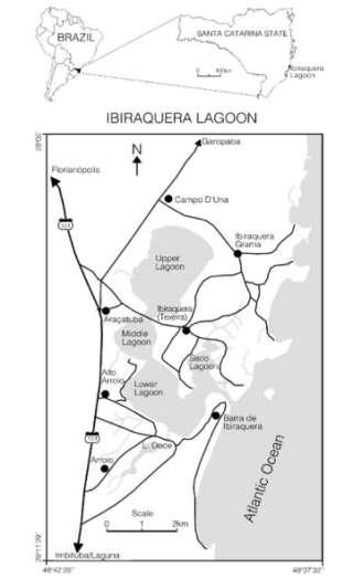 O caso da abertura da barra Quando e quem decide da abertura da barra?