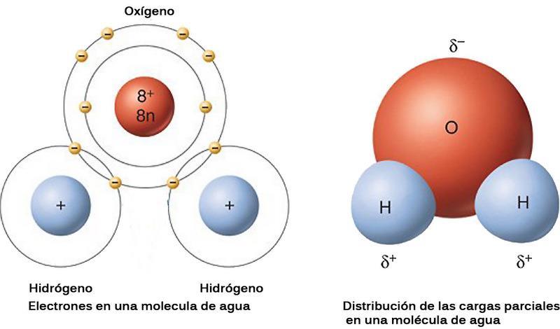Átomo/elemento/molécula Todos os corpos são constituídos de moléculas e átomos.