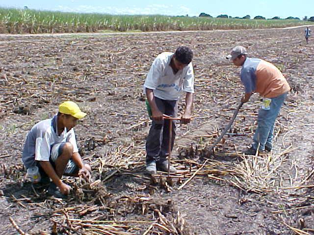 MÉTODOS DE