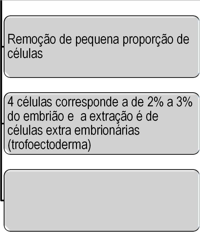 BIOPSIA DE BLASTOCISTO BIOPSIA EM ESTÁGIO DE CLIVAGEM