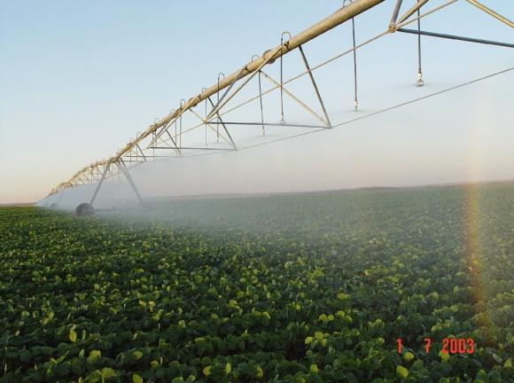 Marcelo Canteri Bioestimulantes e Fertilizantes foliares Nos trabalhos de pesquisa com adubos foliares, principalmente macronutrientes e bioestimulantes,