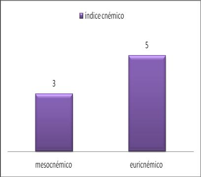 6.4.3. Morfologia do esqueleto A determinação da morfologia do esqueleto, principalmente a que se baseia em dados métricos foi igualmente muito limitada pelo estado da amostra.