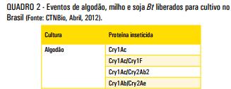 Proteínas inseticidas liberadas no Brasil.