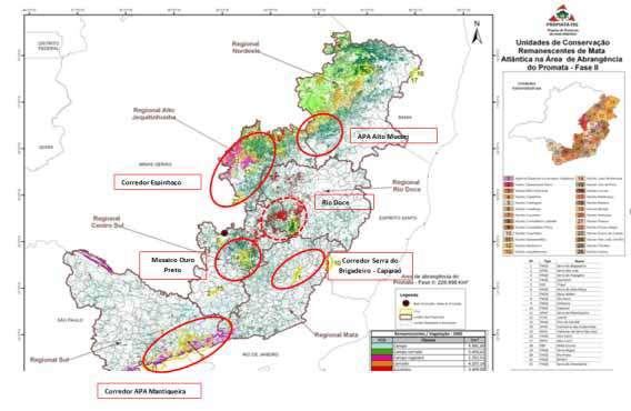 Bosque Modelo Mata Atlântica Área: 2.250.