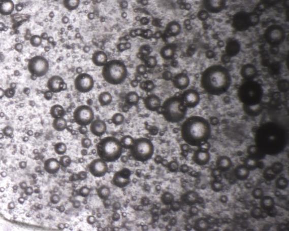 literatura que reporta a utilização do AESO na formação de emulsões w/o, estabilizadas por NCB [41].