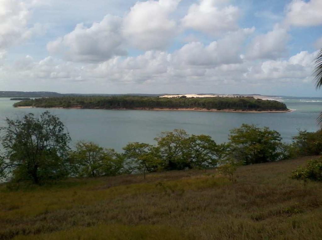Figura 3: Foz da Laguna Guaraíra, com vista para floresta sobre a Formação Barreiras sujeita a erosão. Foto: Leonlene Aguiar (Novembro de 2011).
