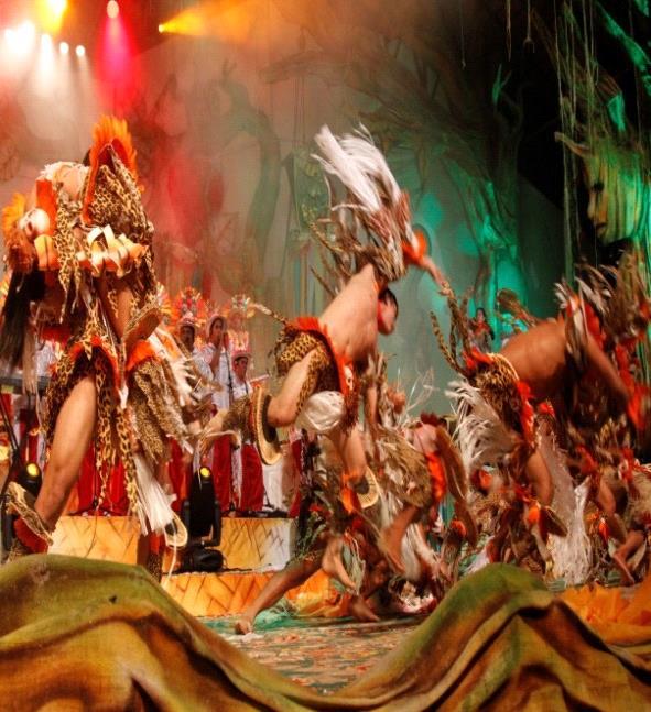 c) Temática Lenda Amazônica Fotografia 17: Grupo de dançarinos da Companhia de Dança Garantido Show.