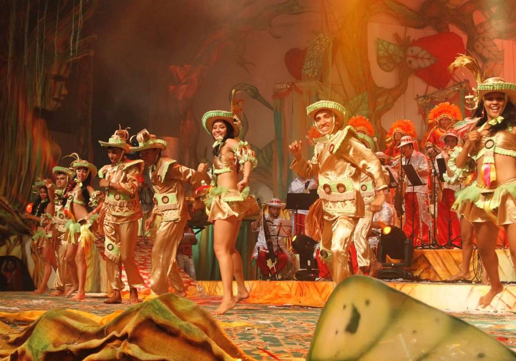 Fotografia 03: Os brincantes da Companhia de Dança Garantido Show. Acervo Associação Folclórica Boi Bumbá Garantido Fotografia: Paulo Sicsú, 2013.