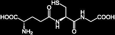 A GSH é composta por gama-glutamil-cisteinil-glicina, atuando contra a formação de radicais livres, na homeostase tiólica, na manutenção do balanço redox da célula e na defesa contra agentes