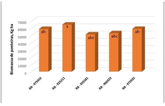 Figura 2. Biomassa de ponteiras das cinco cultivares precoces de cana-de-açúcar. Os valores apresentados se referem a uma média de 3 colheitas.