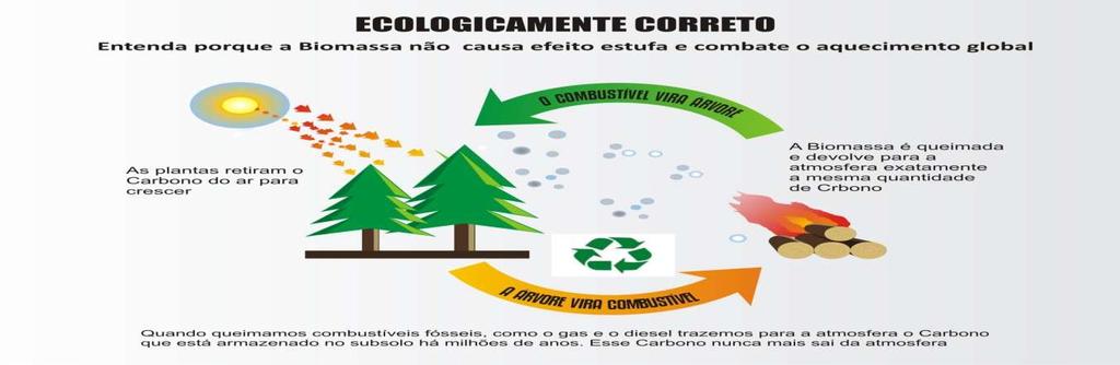 Ecologia