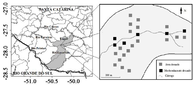 Partição espacial de espécies arbóreas em função da drenagem do solo... 423 Uruguai, além de coincidirem com zonas de recarga do Aquífero Guarani (GOMES et al., 2008).
