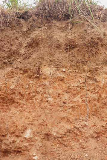 permanece no mesmo local da formação. E quando mantém algumas características da rocha pode ser chamado de solo saprolítico. O solo apresentado na Figura 1.5 mostra um exemplo de solo residual.