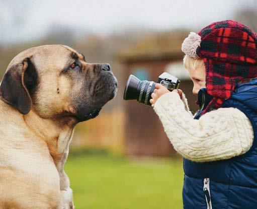 8 A sua família é a família dele, ele vai fazer tudo que for cãomente possível para a proteger, guardar, amar e defender, até dará a própria vida, se for necessário.