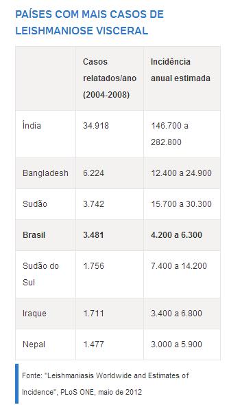 Leishmaniose Visceral Existem várias espécies de Leishmania