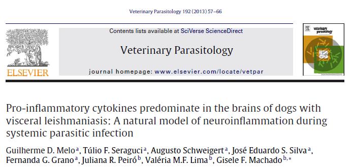 nos cérebros de cães infectados Esses resultados sugerem um status inflamatório no sistema nervoso de cães infectados mediado pela IL-1β, IFN-y e TNF-α.