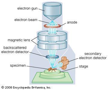 200nm 1nm