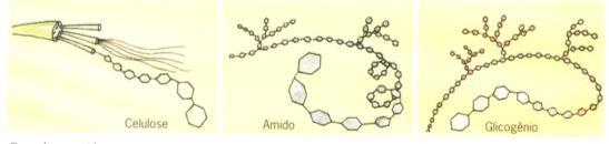 Hemicelulose e