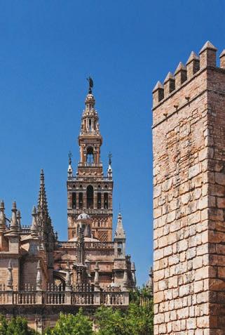até Extremadura para chegar a Cáceres e tempo livre para caminhar pelo bairro antigoe medieval, considerado Patrimônio da Humanidade. Almoço livre.