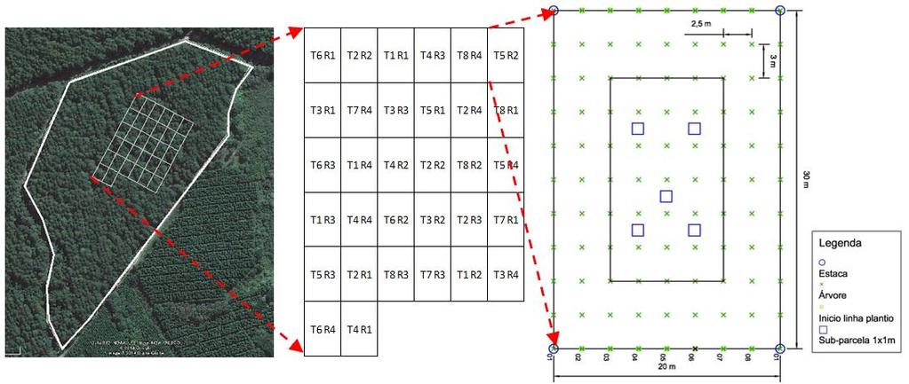Figura 02. Disposição das parcelas (imagem anterior ao corte raso), tratamentos (T) e repetições (R) no campo do experimento localizado em de Rio Negro - PR.