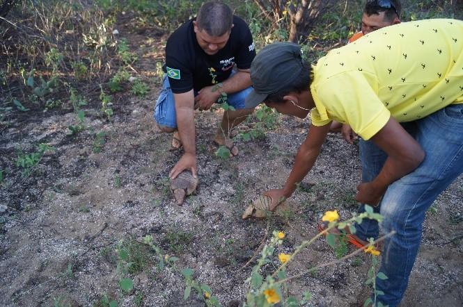 resgate em Fevereiro/2016 Conclusões A soltura de animais, prática realizada pela Associação