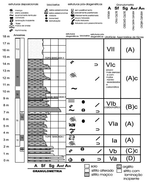 Figura 5. Coluna Litoestratigráfica da Mina Tutte.