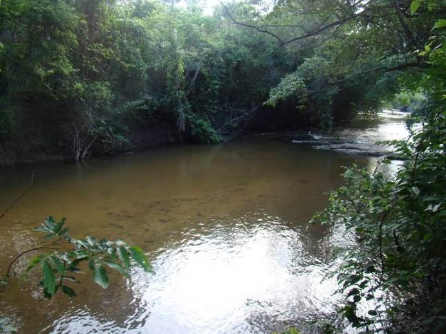 A cor da água é característica azul turquesa, o substrato é composto por fragmentos de rochas calcárias, areia, lama e troncos de árvores.