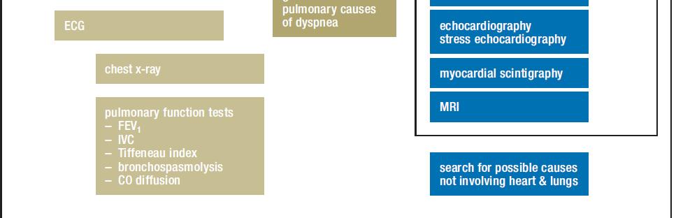 differential diagnosis of